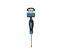 Kruvikeeraja TORX T10 100mm