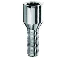 Tähikpolt pt12x1.25/28 (p54. ¤20mm)