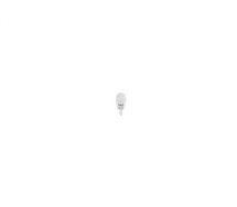 Bosch ECO LED W5W 12/24V 1W