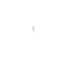 Bosch ECO LED W5W 12/24V 1W