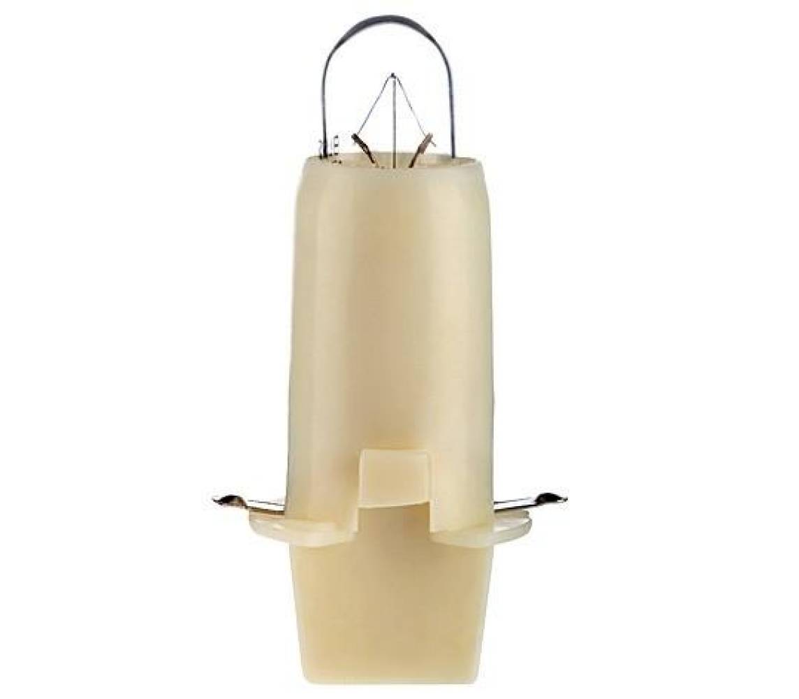 12V 2CP Sokkel BX8,4d / P.C.B 10mm VALGE