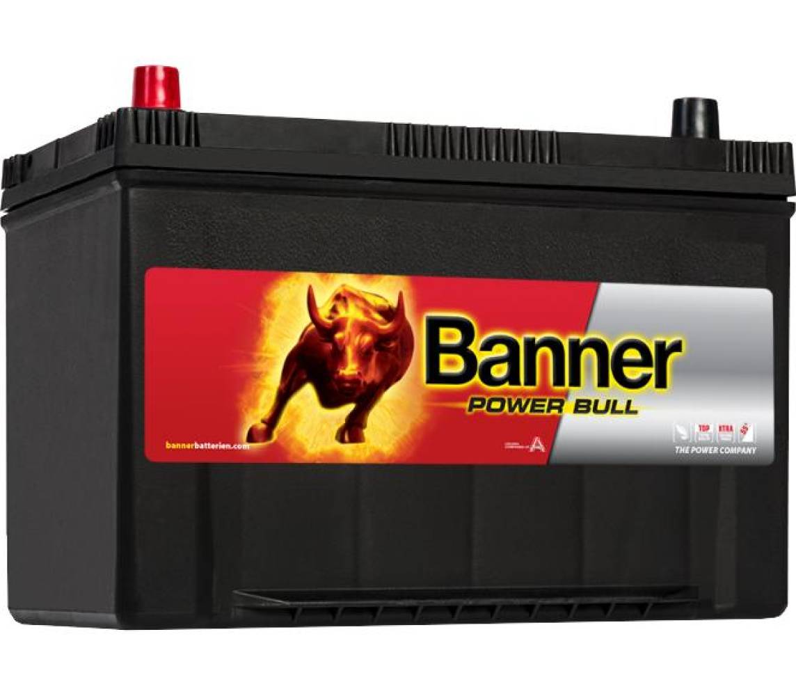 Banner aku power bull 95ah 303x173x203/225 + - 740a magic eye (carrier)