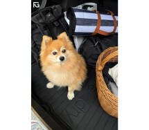 Pagasimatt VW Golf VII 2012-2020 hb