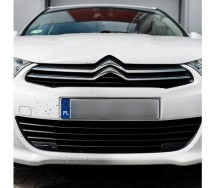 K2 nuta anti insect pro klaasipuhastusvedelik/putukate eemaldi 1L/pihusti