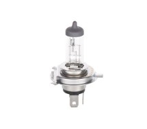 Bosch ECO H4 12V 60/55W Plus 100