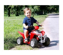 Polaris Mini 6V